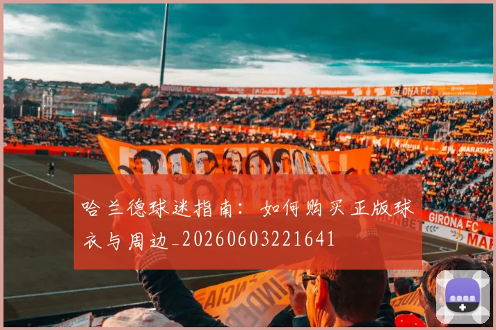 哈兰德球迷指南：如何购买正版球衣与周边_20260603221641