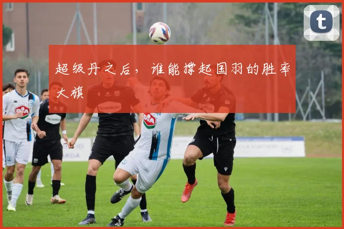 超级丹之后,谁能撑起国羽的胜率大旗
