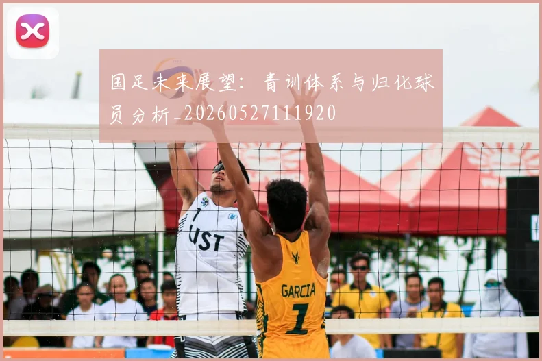 国足未来展望:青训体系与归化球员分析_20260527111920