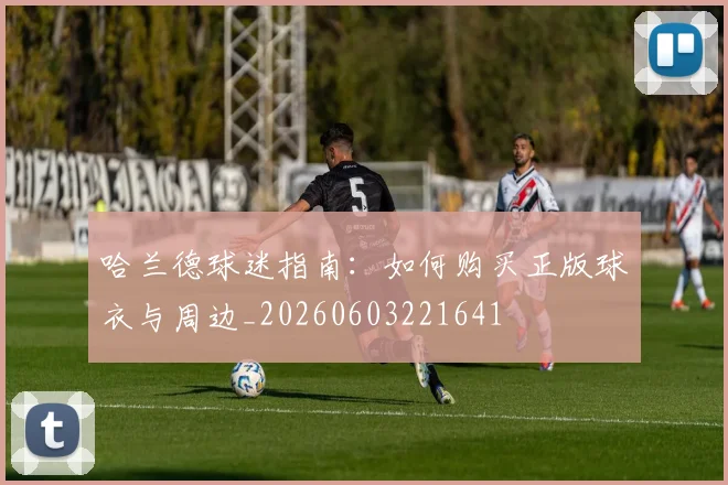 哈兰德球迷指南:如何购买正版球衣与周边_20260603221641