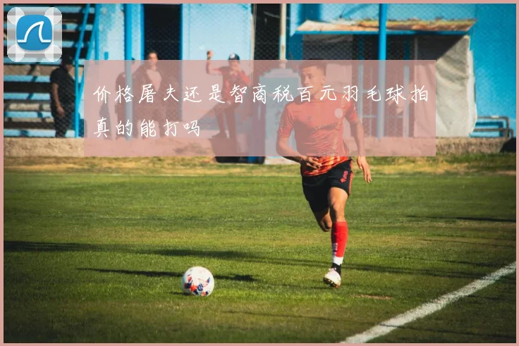 价格屠夫还是智商税百元羽毛球拍真的能打吗