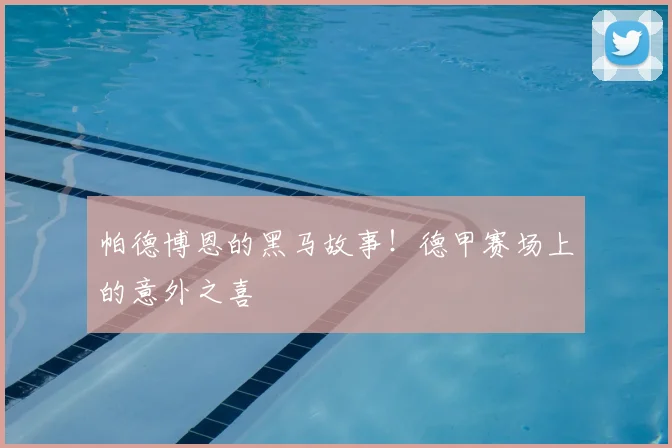 帕德博恩的黑马故事!德甲赛场上的意外之喜