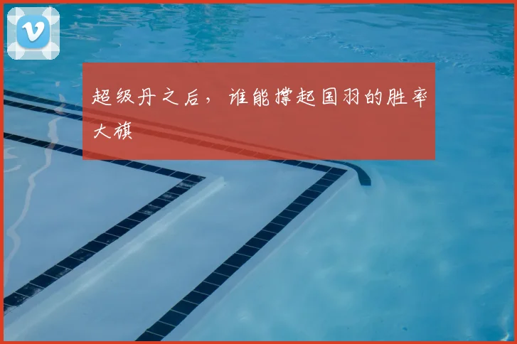 超级丹之后，谁能撑起国羽的胜率大旗