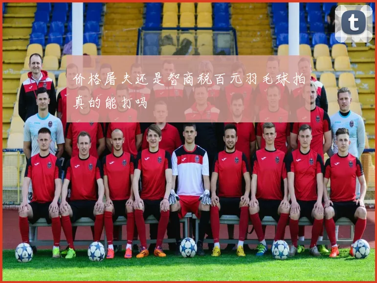 价格屠夫还是智商税百元羽毛球拍真的能打吗