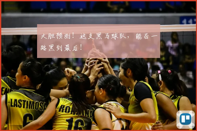 大胆预测!这支黑马球队,能否一路黑到最后!
